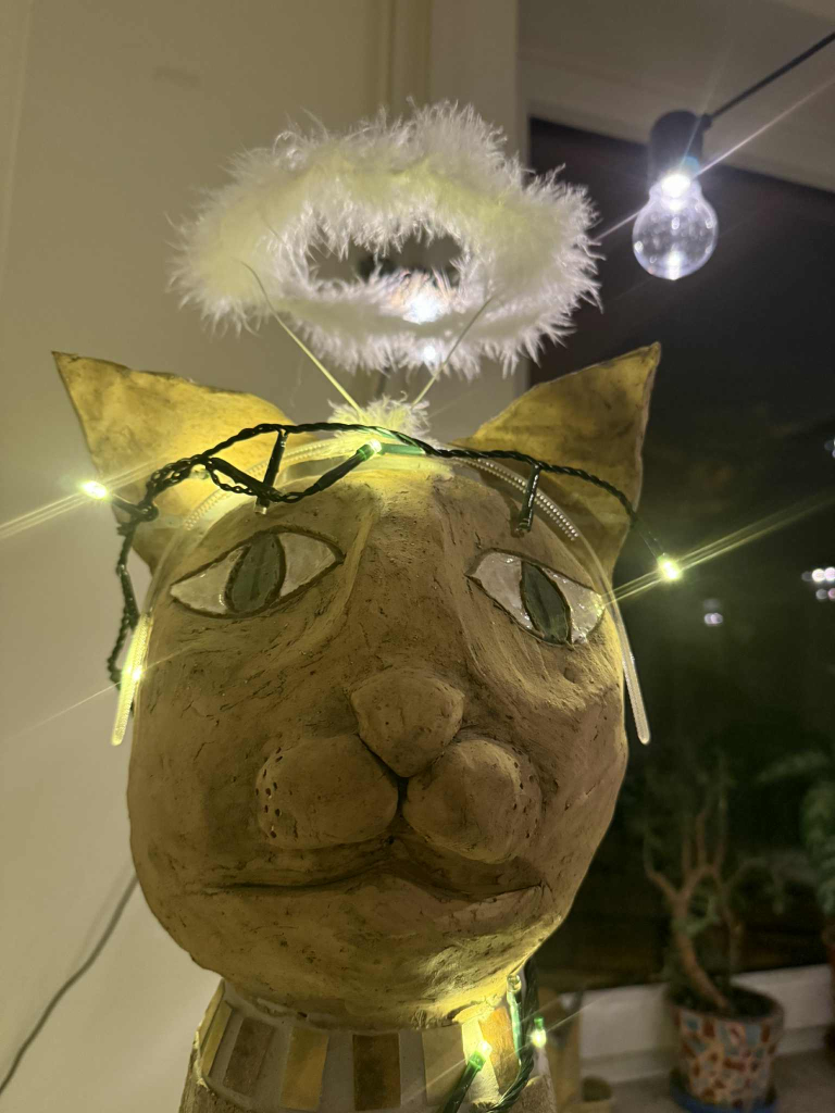 Kdy končí kroužky?