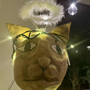 Kdy končí kroužky?